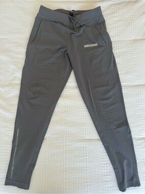 Alphalete Men’s Performance Joggers Gray Size Medium Athletic Training Pants